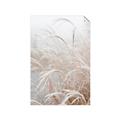 Picture of Frosted pampas grass _GroupedProduct_Rectangle_Portrait_Photography _GroupedProduct_Rectangle_Portrait_Unframed_Print_Only_
