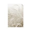 Picture of Frosted pampas grass _GroupedProduct_Rectangle_Portrait_Photography _GroupedProduct_Rectangle_Portrait_Unframed_Print_Only_