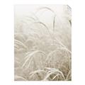 Picture of Frosted pampas grass _GroupedProduct_Rectangle_Portrait_Photography _GroupedProduct_Rectangle_Portrait_Unframed_Print_Only_