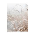 Picture of Frosted pampas grass _GroupedProduct_Rectangle_Portrait_Photography _GroupedProduct_Rectangle_Portrait_Unframed_Print_Only_