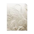 Picture of Frosted pampas grass _GroupedProduct_Rectangle_Portrait_Photography _GroupedProduct_Rectangle_Portrait_Unframed_Print_Only_