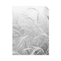 Picture of Frosted pampas grass _GroupedProduct_Rectangle_Portrait_Photography _GroupedProduct_Rectangle_Portrait_Unframed_Print_Only_