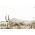 Picture of Photography Terrain _GroupedProduct_Rectangle_Landscape_Photography _GroupedProduct_Rectangle_Landscape_Unframed_Print_Only_