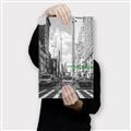 Picture of Big Cat on street of NY _GroupedProduct_Rectangle_Portrait_Canvas_