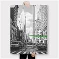 Picture of Big Cat on street of NY _GroupedProduct_Rectangle_Portrait_Canvas_