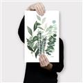 Picture of Green and Serene II _GroupedProduct_Rectangle_Portrait_Canvas_