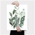 Picture of Green and Serene II _GroupedProduct_Rectangle_Portrait_Canvas_