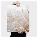 Picture of Frosted pampas grass _GroupedProduct_Rectangle_Portrait_Photography _GroupedProduct_Rectangle_Portrait_Canvas_