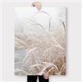 Picture of Frosted pampas grass _GroupedProduct_Rectangle_Portrait_Photography _GroupedProduct_Rectangle_Portrait_Canvas_