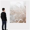 Picture of Frosted pampas grass _GroupedProduct_Rectangle_Portrait_Photography _GroupedProduct_Rectangle_Portrait_Canvas_