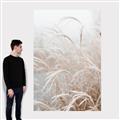 Picture of Frosted pampas grass _GroupedProduct_Rectangle_Portrait_Photography _GroupedProduct_Rectangle_Portrait_Canvas_