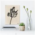 Picture of Spring-blooming _GroupedProduct_Rectangle_Portrait_Canvas_