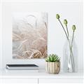Picture of Frosted pampas grass _GroupedProduct_Rectangle_Portrait_Photography _GroupedProduct_Rectangle_Portrait_Canvas_