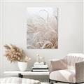 Picture of Frosted pampas grass _GroupedProduct_Rectangle_Portrait_Photography _GroupedProduct_Rectangle_Portrait_Canvas_