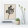 Picture of Spring-blooming _GroupedProduct_Rectangle_Portrait_Canvas_Framed_