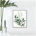 Picture of Green and Serene I _GroupedProduct_Rectangle_Portrait_Canvas_Framed_