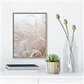 Picture of Frosted pampas grass _GroupedProduct_Rectangle_Portrait_Photography _GroupedProduct_Rectangle_Portrait_Canvas_Framed_