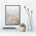Picture of Frosted pampas grass _GroupedProduct_Rectangle_Portrait_Photography _GroupedProduct_Rectangle_Portrait_Canvas_Framed_