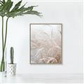 Picture of Frosted pampas grass _GroupedProduct_Rectangle_Portrait_Photography _GroupedProduct_Rectangle_Portrait_Canvas_Framed_