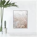 Picture of Frosted pampas grass _GroupedProduct_Rectangle_Portrait_Photography _GroupedProduct_Rectangle_Portrait_Canvas_Framed_