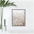 Picture of Frosted pampas grass _GroupedProduct_Rectangle_Portrait_Photography _GroupedProduct_Rectangle_Portrait_Canvas_Framed_
