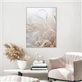 Picture of Frosted pampas grass _GroupedProduct_Rectangle_Portrait_Photography _GroupedProduct_Rectangle_Portrait_Canvas_Framed_