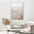 Picture of Frosted pampas grass _GroupedProduct_Rectangle_Portrait_Photography _GroupedProduct_Rectangle_Portrait_Canvas_Framed_