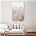 Picture of Frosted pampas grass _GroupedProduct_Rectangle_Portrait_Photography _GroupedProduct_Rectangle_Portrait_Canvas_Framed_