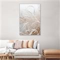 Picture of Frosted pampas grass _GroupedProduct_Rectangle_Portrait_Photography _GroupedProduct_Rectangle_Portrait_Canvas_Framed_