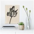 Picture of Spring-blooming _GroupedProduct_Rectangle_Portrait_Unframed_Print_Only_