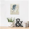Picture of Pelican Flight _GroupedProduct_Rectangle_Portrait_Unframed_Print_Only_