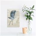 Picture of Pelican Flight _GroupedProduct_Rectangle_Portrait_Unframed_Print_Only_