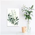 Picture of Green and Serene I _GroupedProduct_Rectangle_Portrait_Unframed_Print_Only_