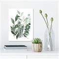 Picture of Green and Serene II _GroupedProduct_Rectangle_Portrait_Unframed_Print_Only_