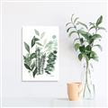 Picture of Green and Serene II _GroupedProduct_Rectangle_Portrait_Unframed_Print_Only_