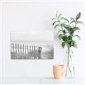 Picture of Past the Fence _GroupedProduct_Rectangle_Landscape_Photography _GroupedProduct_Rectangle_Landscape_Unframed_Print_Only_