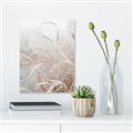 Picture of Frosted pampas grass _GroupedProduct_Rectangle_Portrait_Photography _GroupedProduct_Rectangle_Portrait_Unframed_Print_Only_