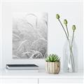 Picture of Frosted pampas grass _GroupedProduct_Rectangle_Portrait_Photography _GroupedProduct_Rectangle_Portrait_Unframed_Print_Only_