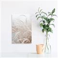 Picture of Frosted pampas grass _GroupedProduct_Rectangle_Portrait_Photography _GroupedProduct_Rectangle_Portrait_Unframed_Print_Only_