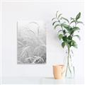 Picture of Frosted pampas grass _GroupedProduct_Rectangle_Portrait_Photography _GroupedProduct_Rectangle_Portrait_Unframed_Print_Only_
