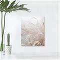 Picture of Frosted pampas grass _GroupedProduct_Rectangle_Portrait_Photography _GroupedProduct_Rectangle_Portrait_Unframed_Print_Only_