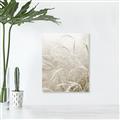 Picture of Frosted pampas grass _GroupedProduct_Rectangle_Portrait_Photography _GroupedProduct_Rectangle_Portrait_Unframed_Print_Only_