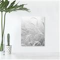 Picture of Frosted pampas grass _GroupedProduct_Rectangle_Portrait_Photography _GroupedProduct_Rectangle_Portrait_Unframed_Print_Only_