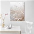 Picture of Frosted pampas grass _GroupedProduct_Rectangle_Portrait_Photography _GroupedProduct_Rectangle_Portrait_Unframed_Print_Only_
