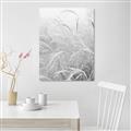 Picture of Frosted pampas grass _GroupedProduct_Rectangle_Portrait_Photography _GroupedProduct_Rectangle_Portrait_Unframed_Print_Only_