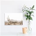 Picture of Photography Terrain _GroupedProduct_Rectangle_Landscape_Photography _GroupedProduct_Rectangle_Landscape_Unframed_Print_Only_