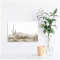 Picture of Photography Terrain _GroupedProduct_Rectangle_Landscape_Photography _GroupedProduct_Rectangle_Landscape_Unframed_Print_Only_