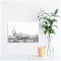 Picture of Photography Terrain _GroupedProduct_Rectangle_Landscape_Photography _GroupedProduct_Rectangle_Landscape_Unframed_Print_Only_