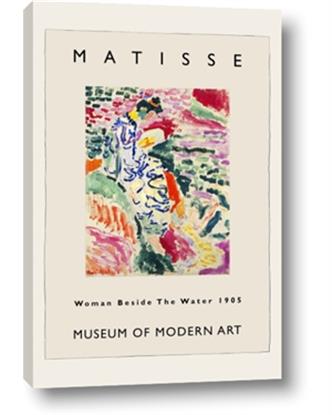 Picture of Museum of modern art - Matisse