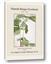 Picture of Trillium Erectum - Hannah Overbeck